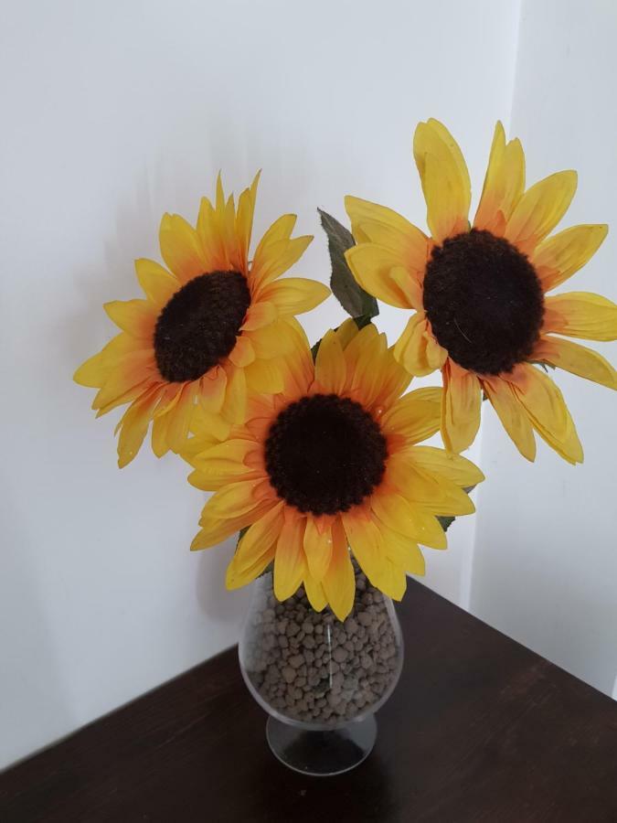 Apartment House Eur 2 *